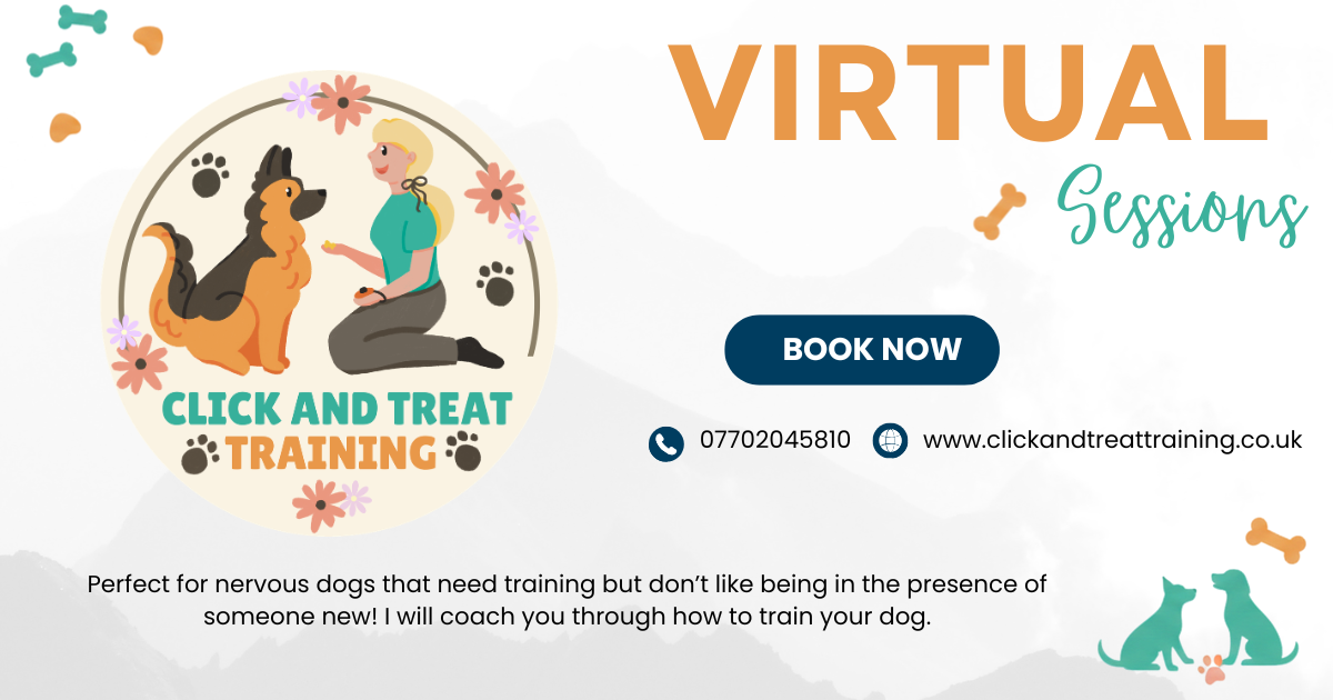 Virtual Sessions available