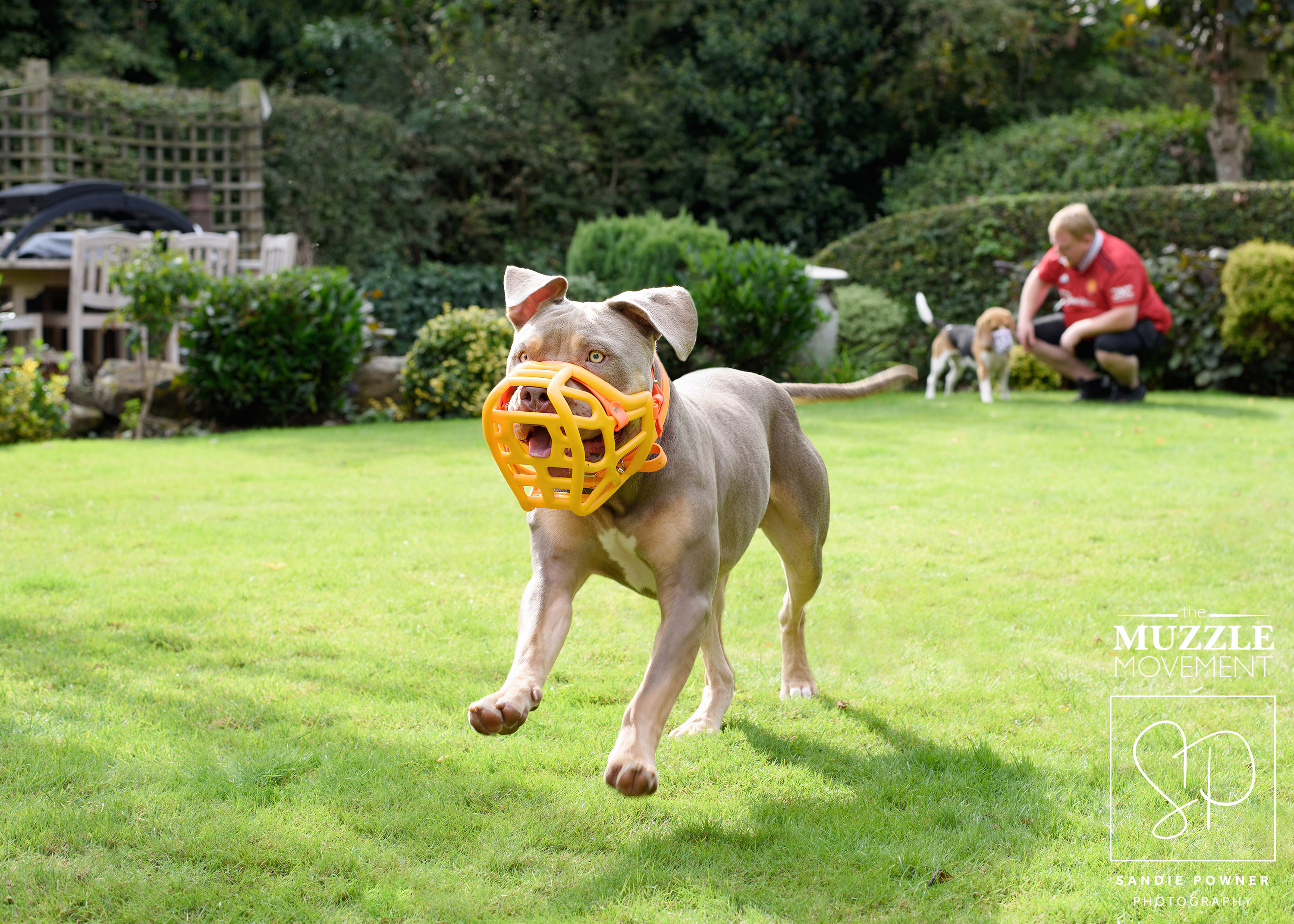 A dog happily wearing their new Muzzle Movement muzzle